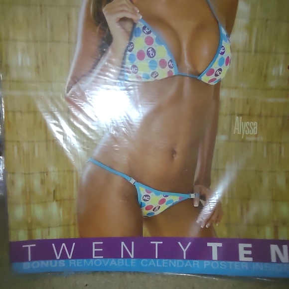 Hooter's Calendar new collectable - Picture 4 of 12
